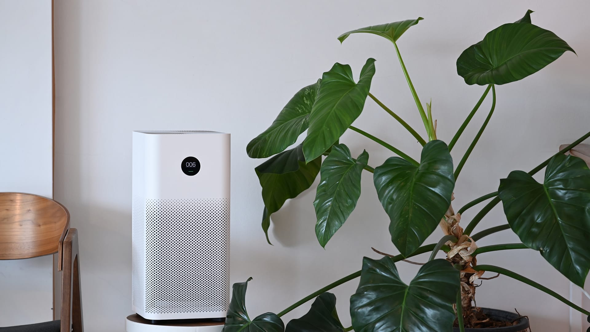 The Best Air Purifier for Smoke in 2023