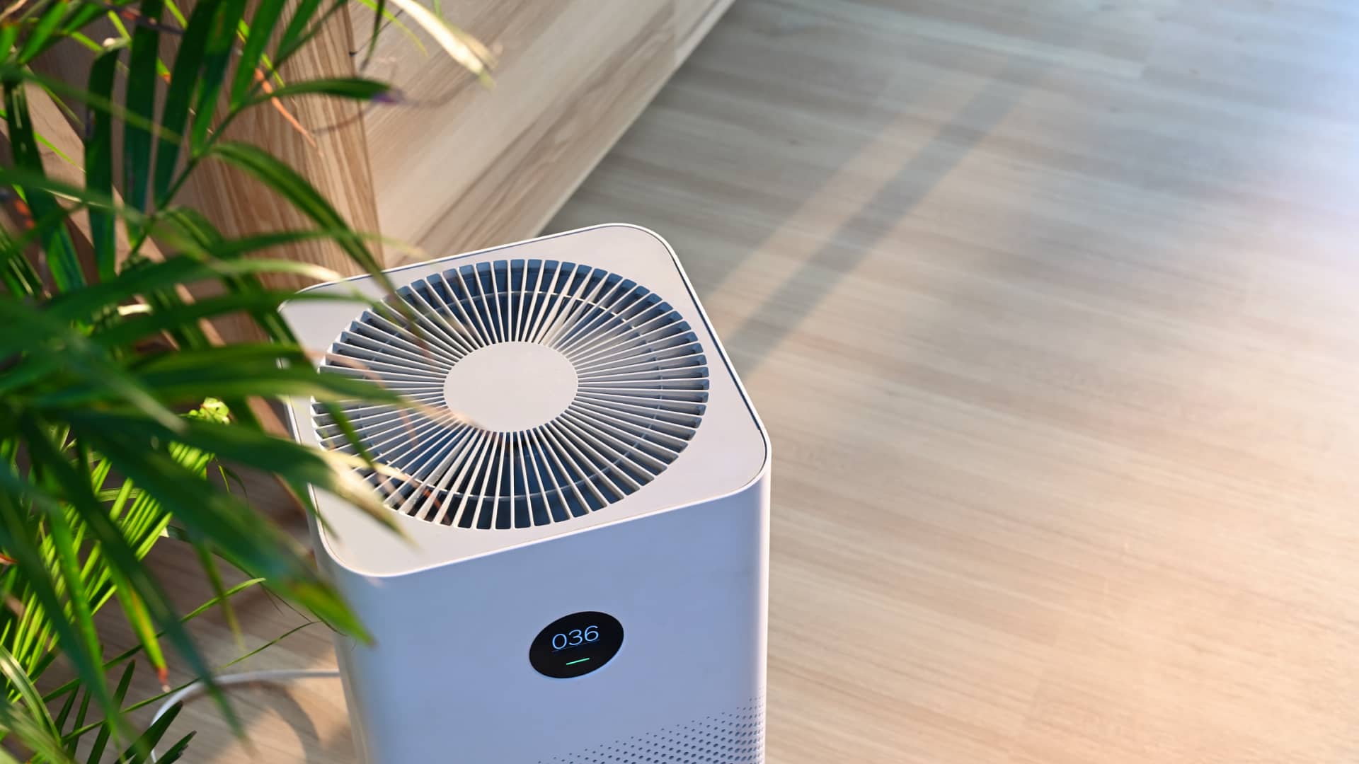 7 Best Air Purifiers for Basement in 2023 : Ultimate Guide